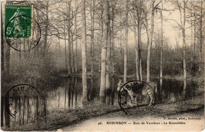 Carte postale ancienne Robinson Bois de Verrieres La Boursilliere