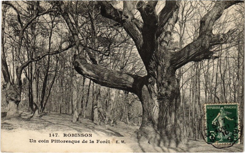 Carte postale ancienne Robinson un coin pittoresque de la Foret