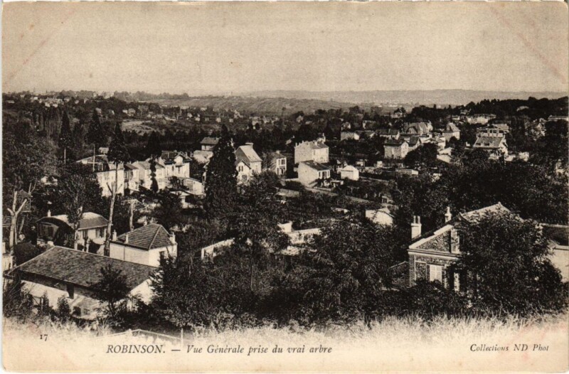 Carte postale ancienne Robinson vue generale