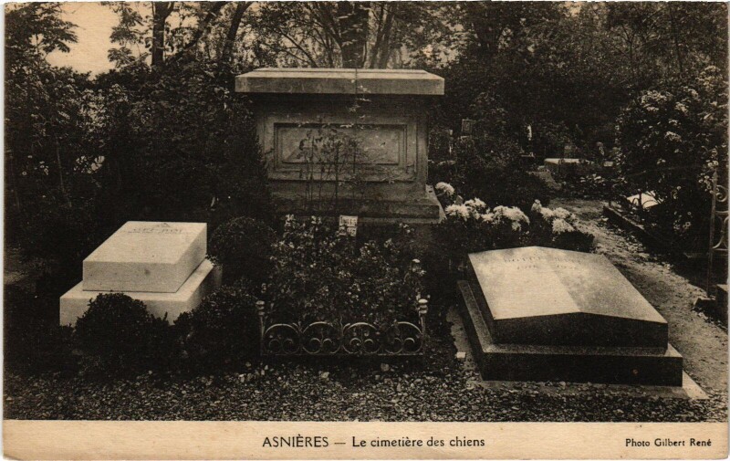 Carte postale ancienne Asnieres Cimetiere des Chiens