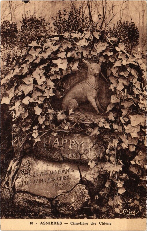Carte postale ancienne Asnieres Cimetiere des Chiens