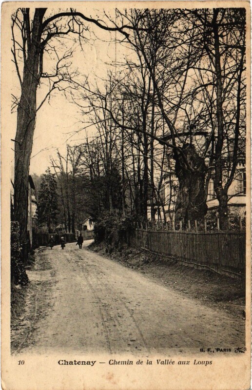 Carte postale ancienne Chatenay Chemin de la Vallee aux Loups