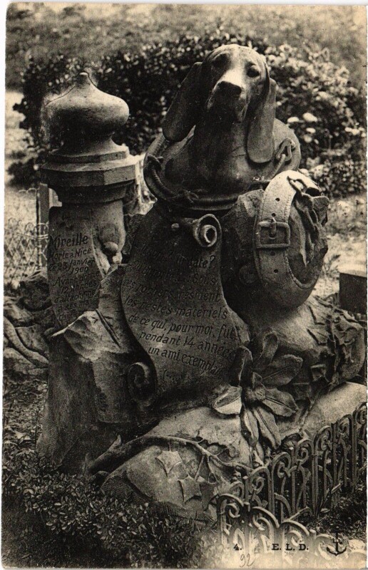 Carte postale ancienne Asnieres Cimetiere des Chiens
