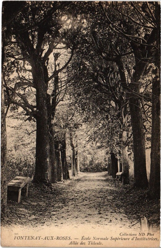 Carte postale ancienne Fontenay aux Roses Ecole Normale Superieure Allee des Tilleuts à Fontenay-aux-Roses