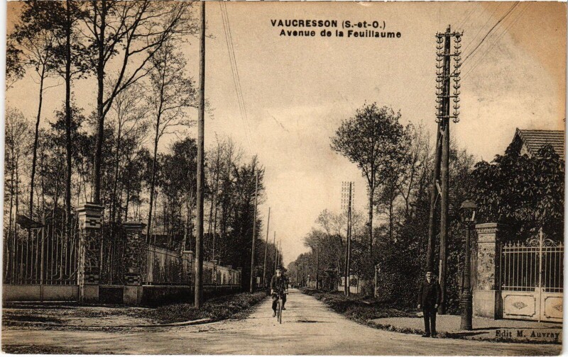 Carte postale ancienne Vaucresson Avenue de la Fauillaume à Vaucresson