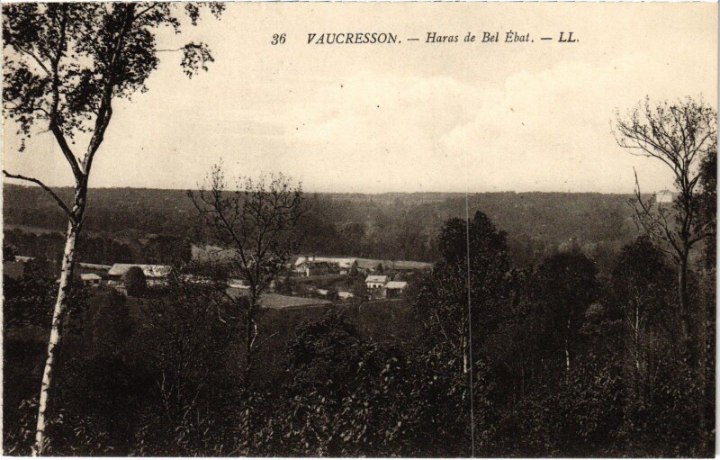 Carte postale ancienne Vaucresson Haras de Bel Ebat à Vaucresson
