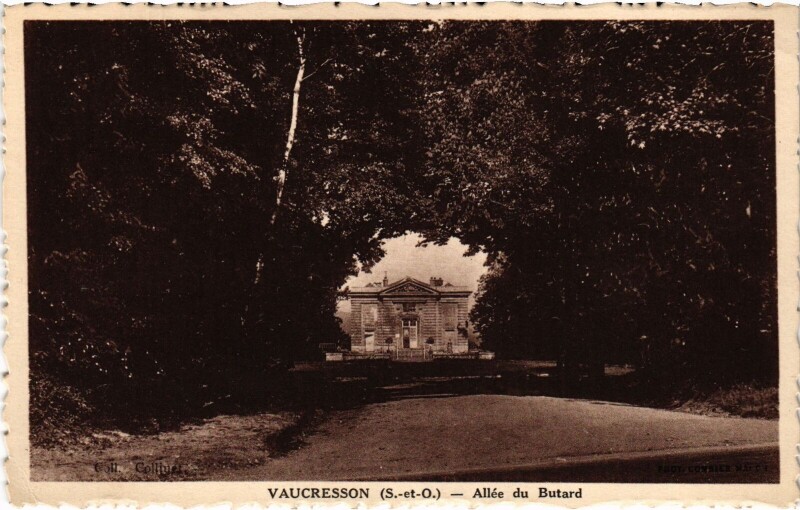 Carte postale ancienne Vaucresson Allee du Butard à Vaucresson