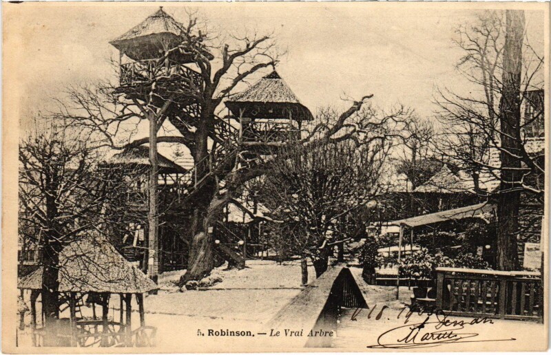 Carte postale ancienne Robinson Le Vrai Arbre