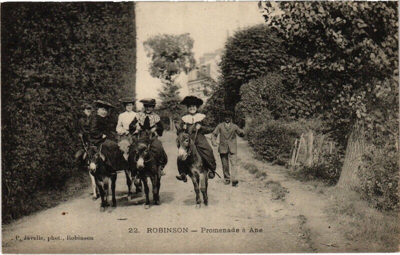 Carte postale ancienne Robinson Promenade a Ane
