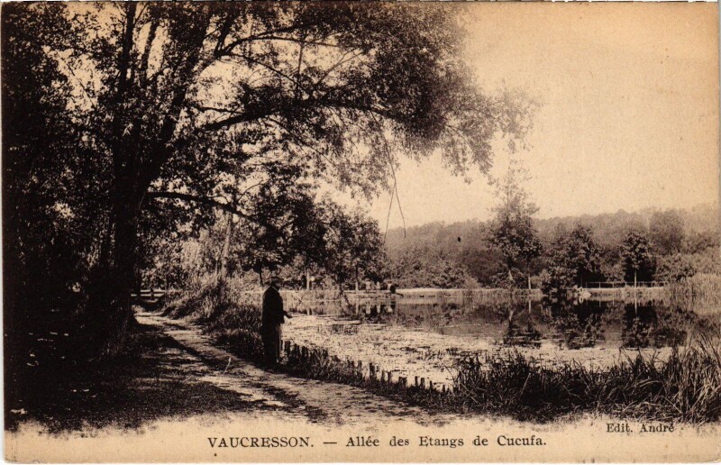 Carte postale ancienne Vaucresson Allee des Etangs de Cucufa à Vaucresson