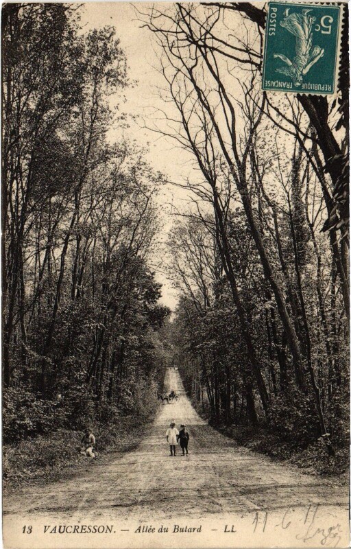 Carte postale ancienne Vaucresson Allee du Butard à Vaucresson