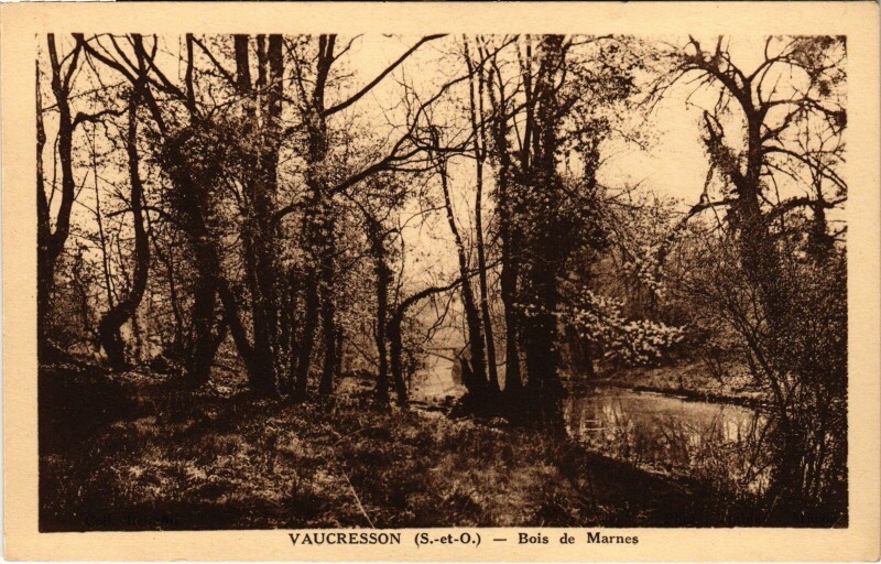 Carte postale ancienne Vaucresson Bois de Marnes à Vaucresson