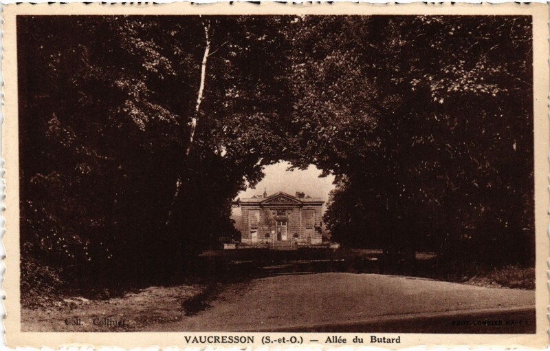 Carte postale ancienne Vaucresson Allee du Butard à Vaucresson