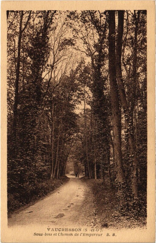 Carte postale ancienne Vaucresson Sous Bois et Chemin de l'Empereur à Vaucresson
