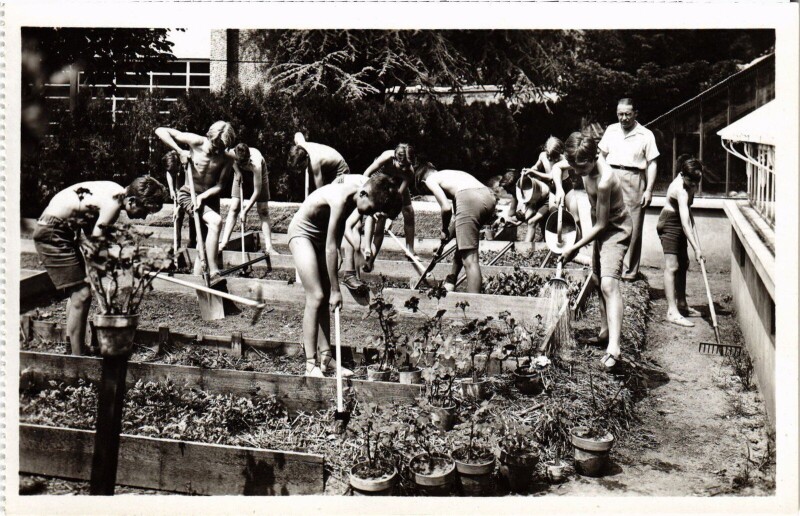 Carte postale ancienne Suresnes Ecole en plein air Lecon de jardinage à Suresnes