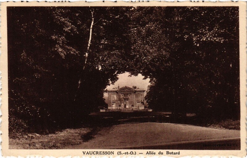 Carte postale ancienne Vaucresson Allee du Butard à Vaucresson