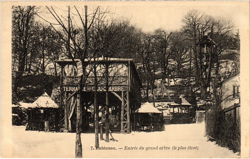 Carte postale ancienne Robinson Entree du grand arbre