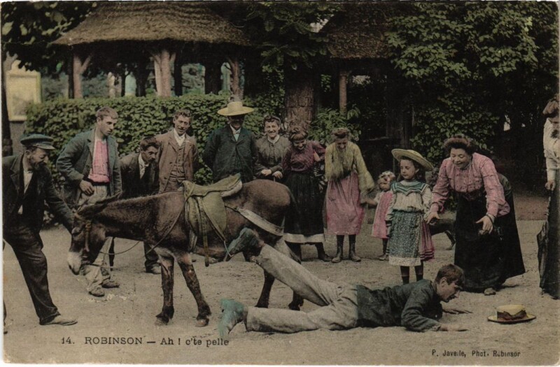 Carte postale ancienne Le Plessis-Robinson Accident with a Donkey au Plessis-Robinson
