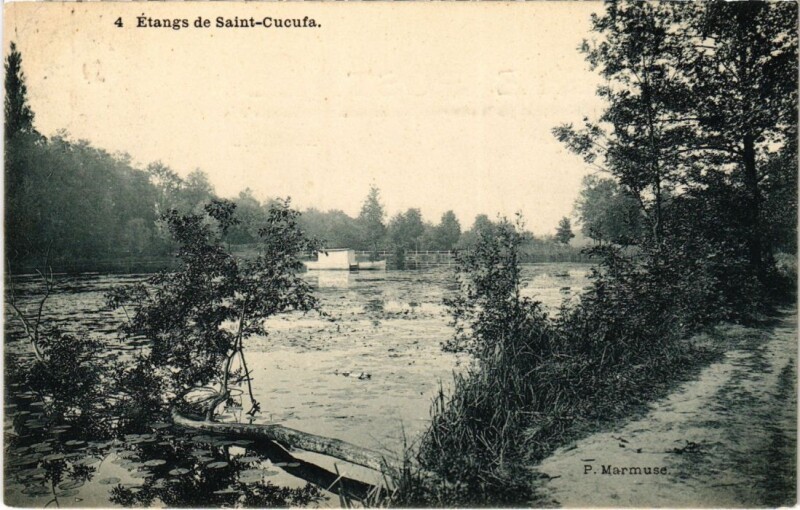 Carte postale ancienne Etangs de Saint-Cucufa