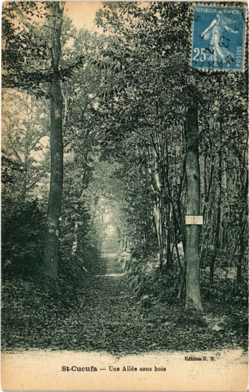 Carte postale ancienne Saint-Cucufa - Unr Allee Sous Bois