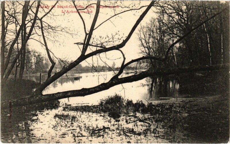 Carte postale ancienne Vaucresson Etang de Saint-Cucufa - L'Arbrecouche à Vaucresson