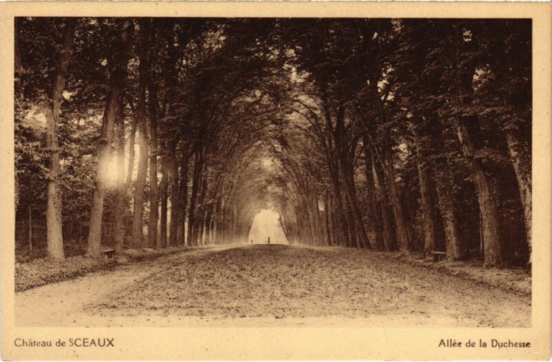 Carte postale ancienne Sceaux Chateau - Allee de la Duchesse à Sceaux