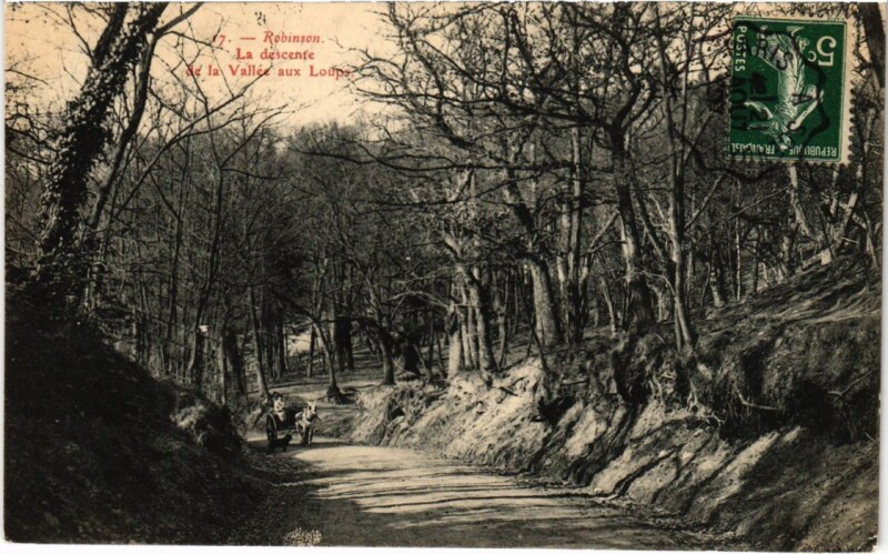 Carte postale ancienne Le Plessis-Robinson La Descente de la Vallee aux Loups au Plessis-Robinson