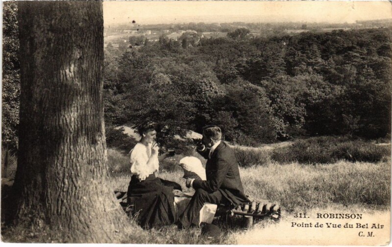 Carte postale ancienne Le Plessis-Robinson Point de Vue du Bel Air au Plessis-Robinson