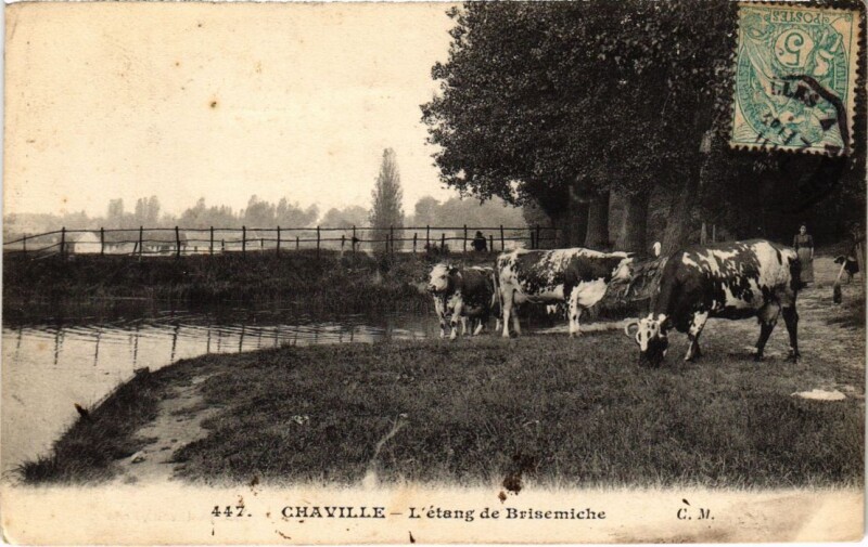 Carte postale ancienne Chaville L'Etang de Brisemiche à Chaville