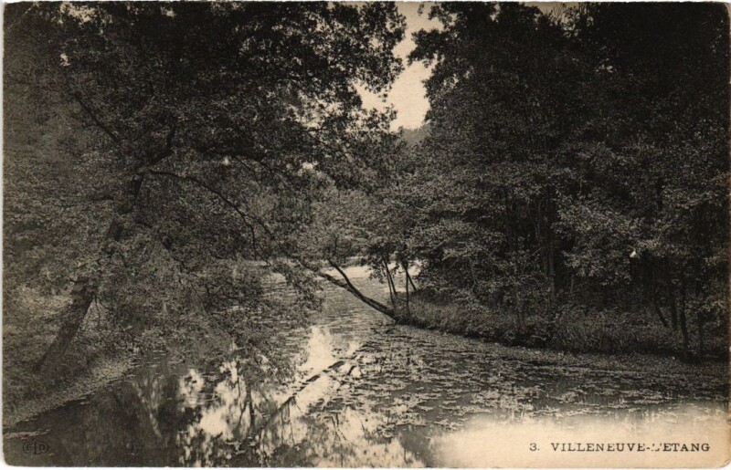 Carte postale ancienne Villeneuve-l'Etang