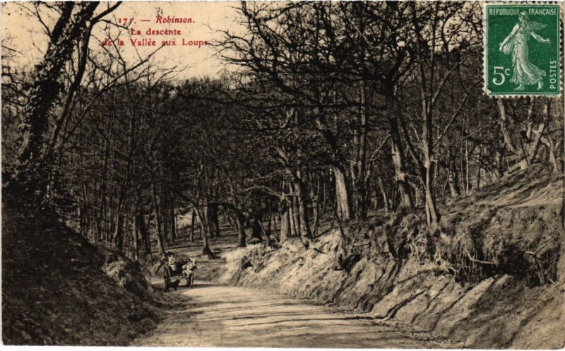 Carte postale ancienne Le Plessis-Robinson La Descente de la Vallee aux Loups au Plessis-Robinson