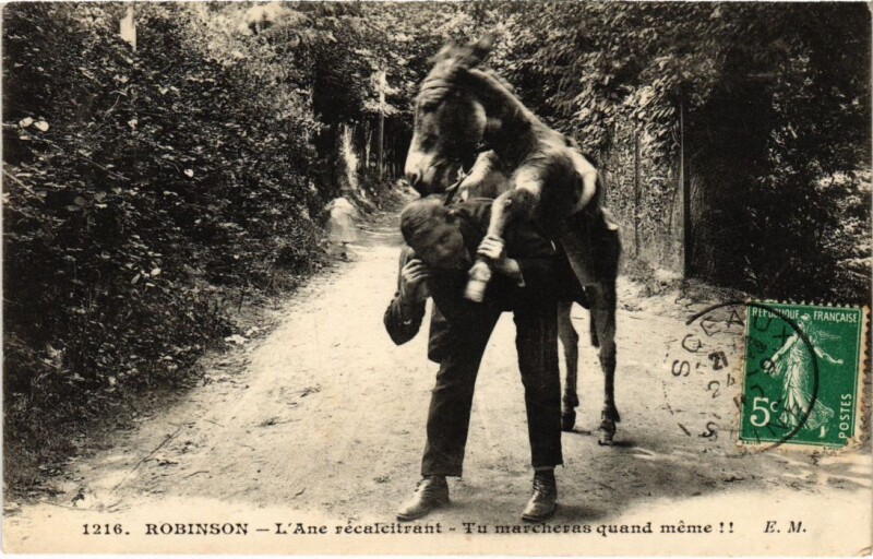 Carte postale ancienne Le Plessis-Robinson L'Ane Recalcitrant au Plessis-Robinson