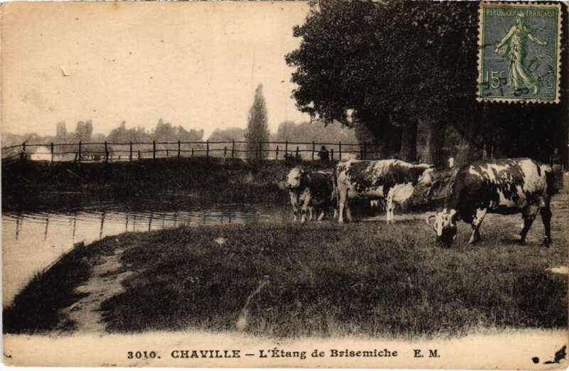 Carte postale ancienne Chaville L'Etang de Brisemiche à Chaville