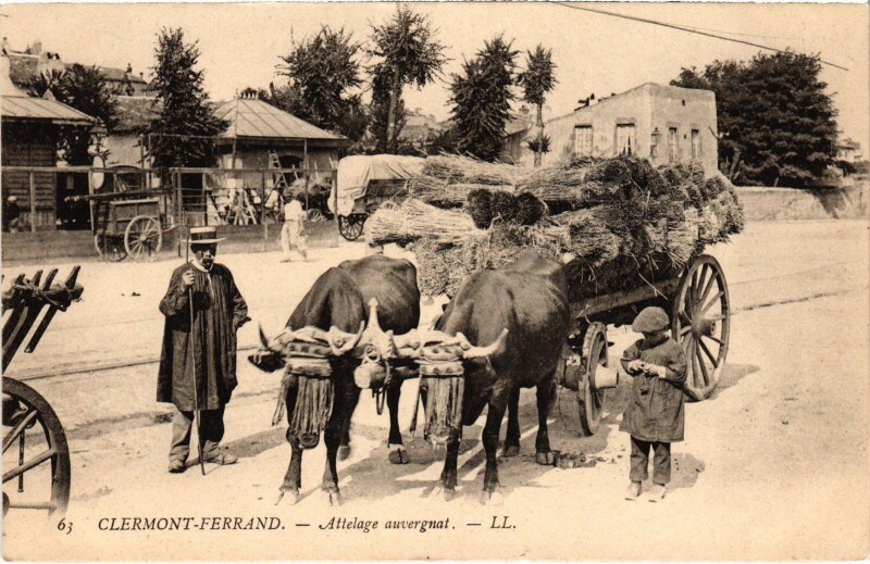 Carte postale ancienne Clermont-Ferrand Attelage auvergnat France à Clermont-Ferrand