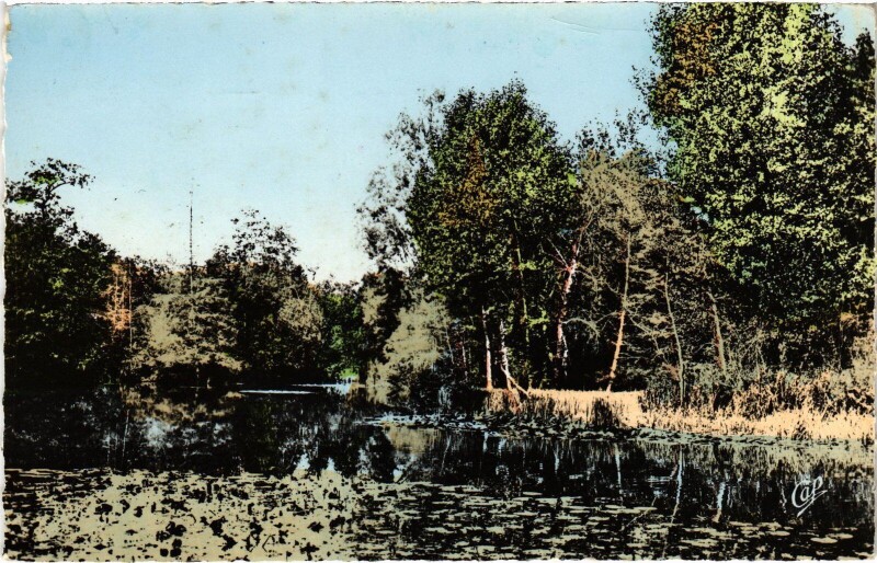 Carte postale ancienne Montmorency Etang de la Chasse à Montmorency