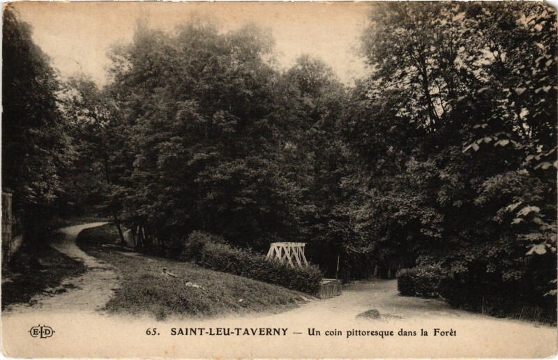 Carte postale ancienne St Leu un coin pittoresque dans la Foret