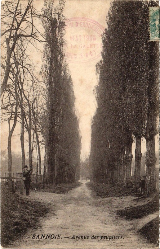 Carte postale ancienne Sannois Avenue des peupliers à Sannois