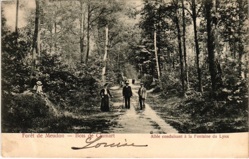 Carte postale ancienne Foret de Meudon - Bois de Clamart - Allee à Clamart