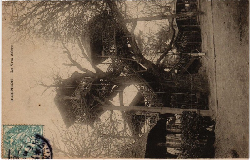 Carte postale ancienne Le Plessis-Robinson Le Vrai Arbre au Plessis-Robinson