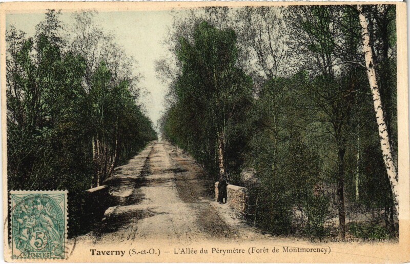 Carte postale ancienne Taverny Allee du Perymetre à Taverny