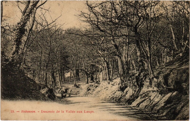 Carte postale ancienne Le Plessis-Robinson Descente de la Vallee aux Loups au Plessis-Robinson