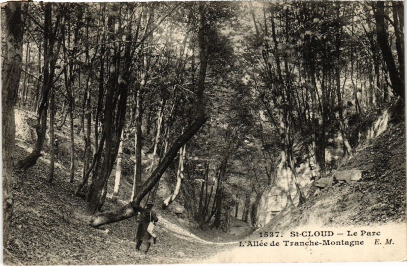 Carte postale ancienne Saint-Cloud Le Parc - L'Allee de Tranche-Montagne à Saint-Cloud