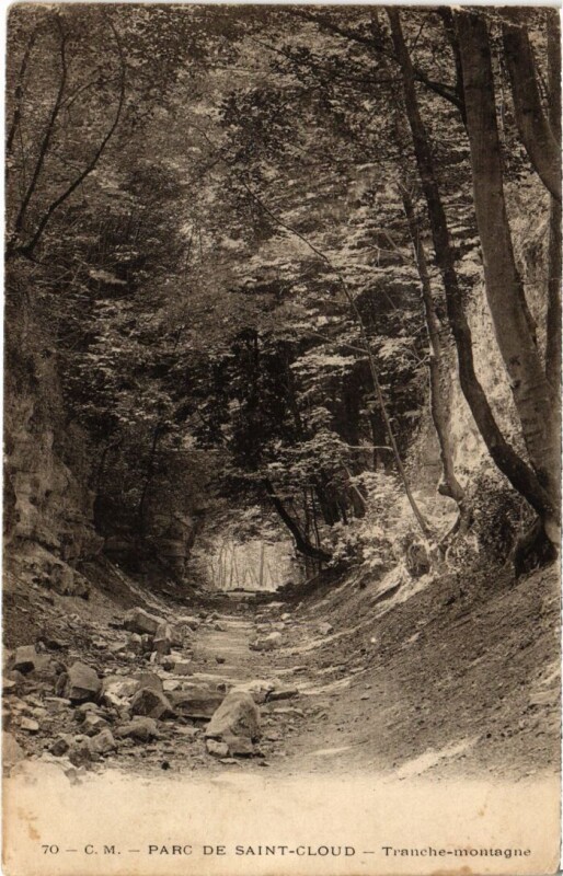 Carte postale ancienne Saint-Cloud Parc - Tranche-Montagne à Saint-Cloud