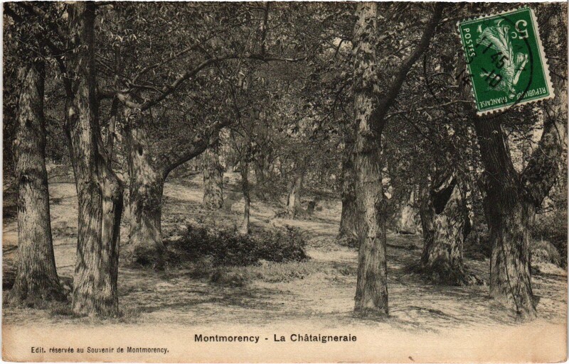 Carte postale ancienne Montmorency La Chataigneraie à Montmorency