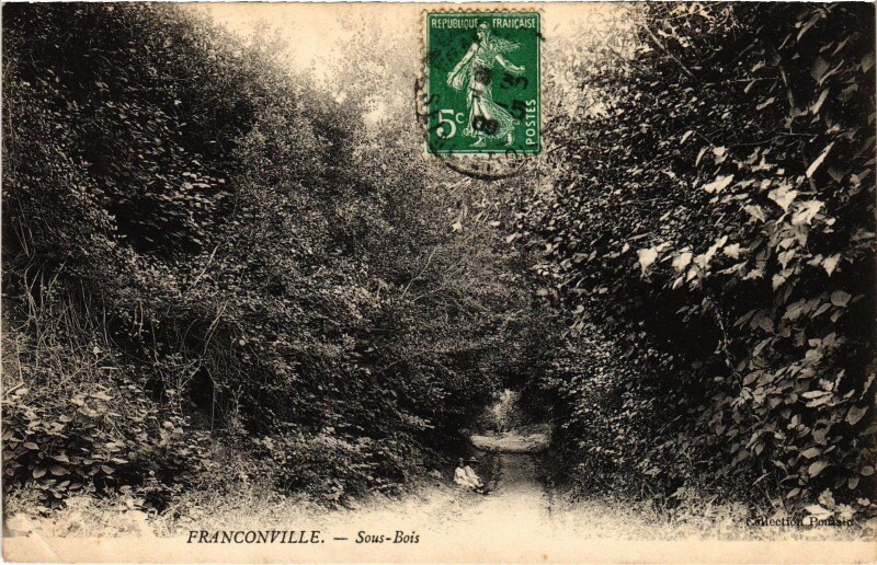 Carte postale ancienne Franconville Sous Bois à Franconville