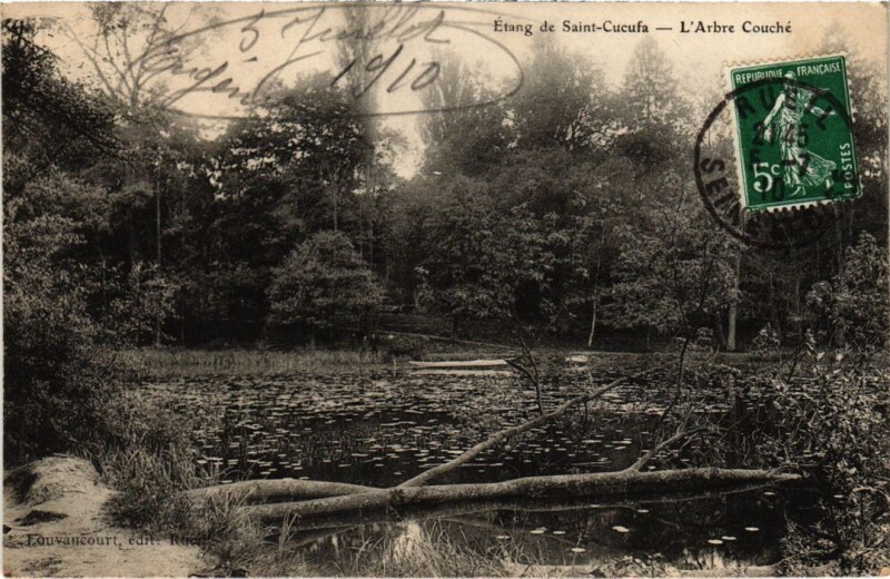 Carte postale ancienne Etang de Saint-Cucufa - L'Arbre Couche