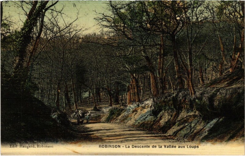 Carte postale ancienne Le Plessis-Robinson La Descente de la Vallee aux Loups au Plessis-Robinson