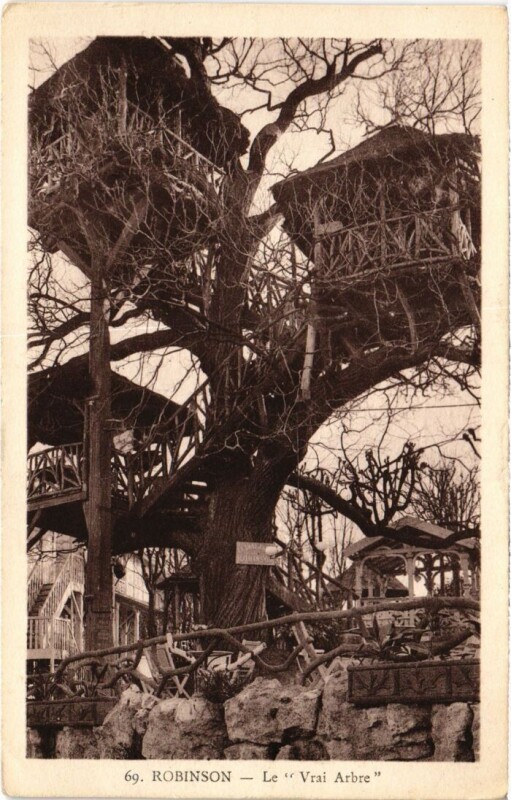 Carte postale ancienne Le Plessis-Robinson Le Vrai Arbre au Plessis-Robinson