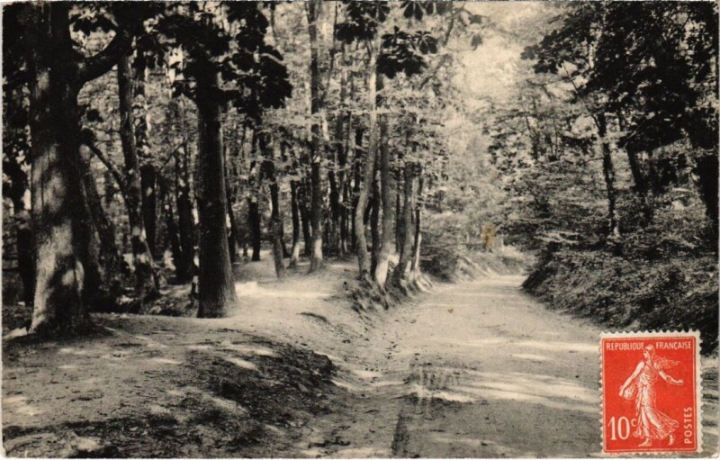 Carte postale ancienne Saint-Cloud Parc - Allee de Marnes à Saint-Cloud