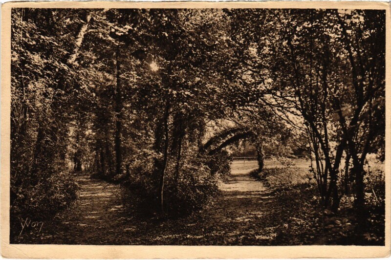 Carte postale ancienne Pontoise Ecole Secondaire Saint-Martin Sous bois dans le parc à Pontoise